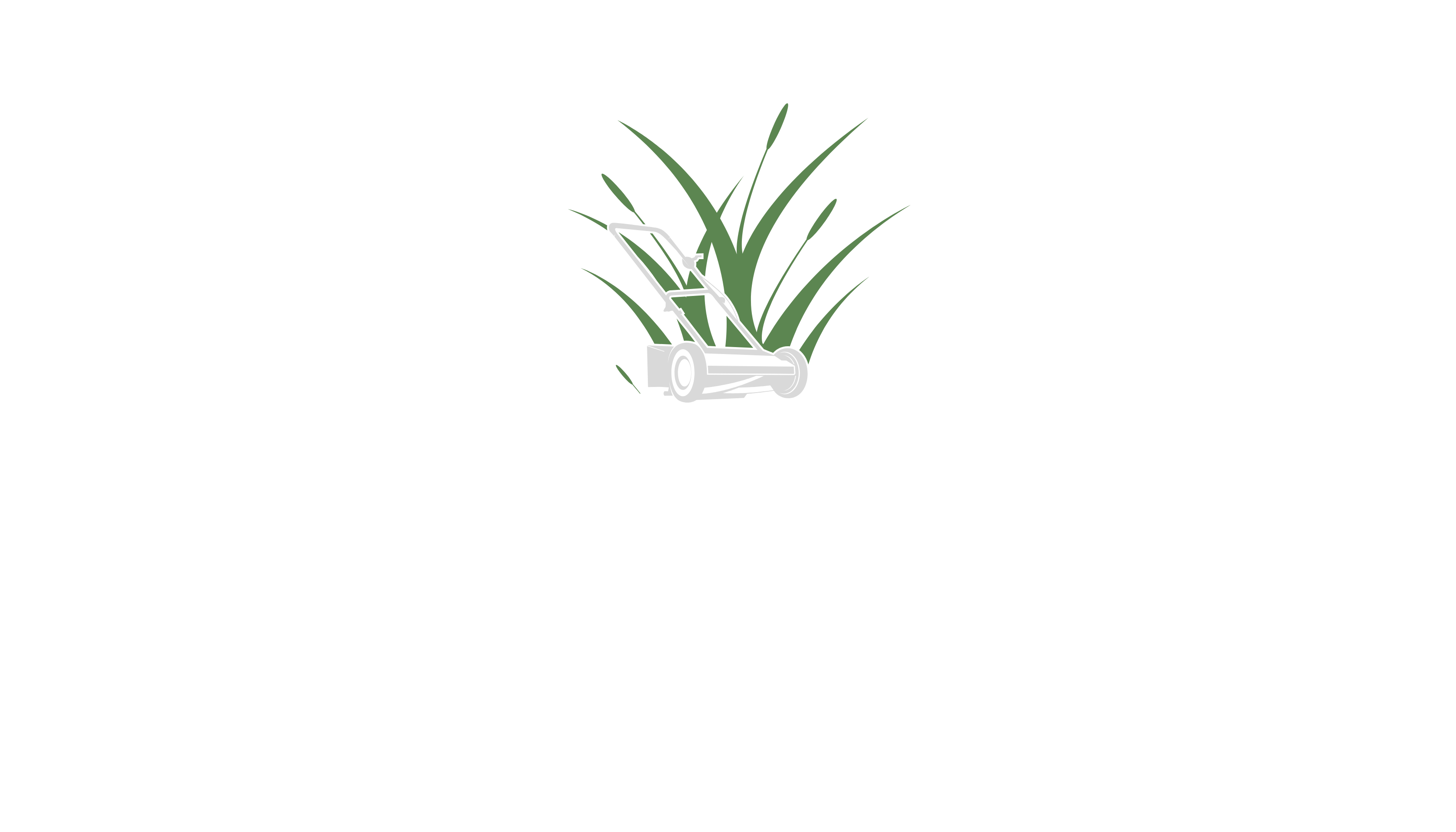 Landscaping and Hardscaping Company