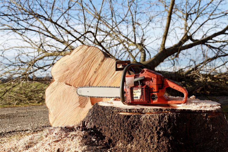 Pruning