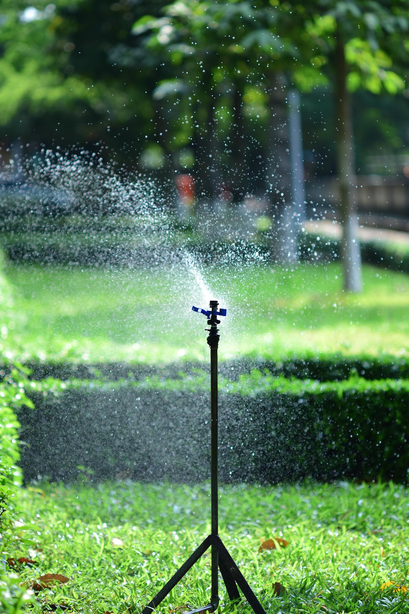 Sprinkler watering a lush green garden lawn on a sunny day, creating a refreshing scene.